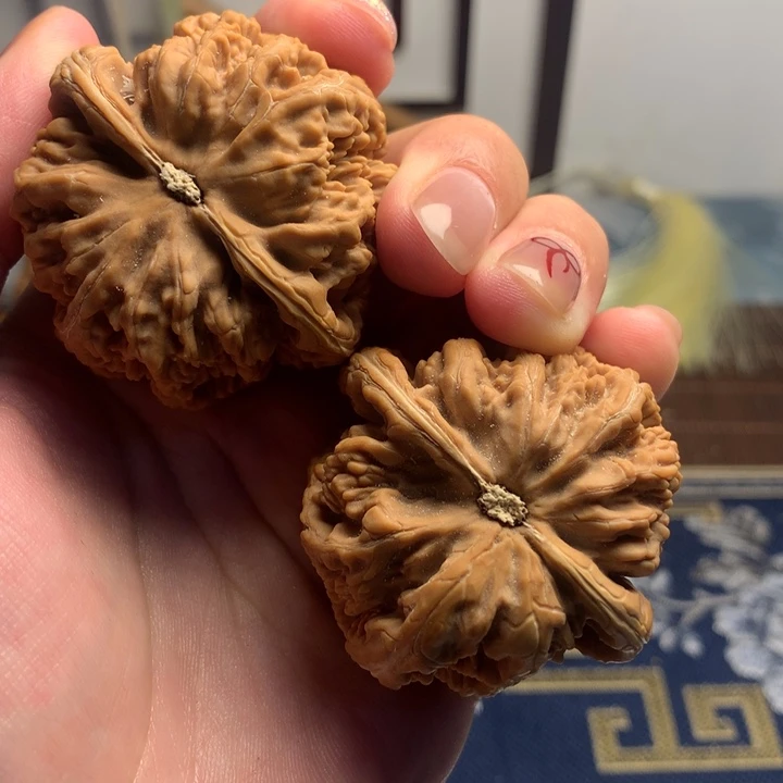 吊坠文玩核桃乙**太粗筋