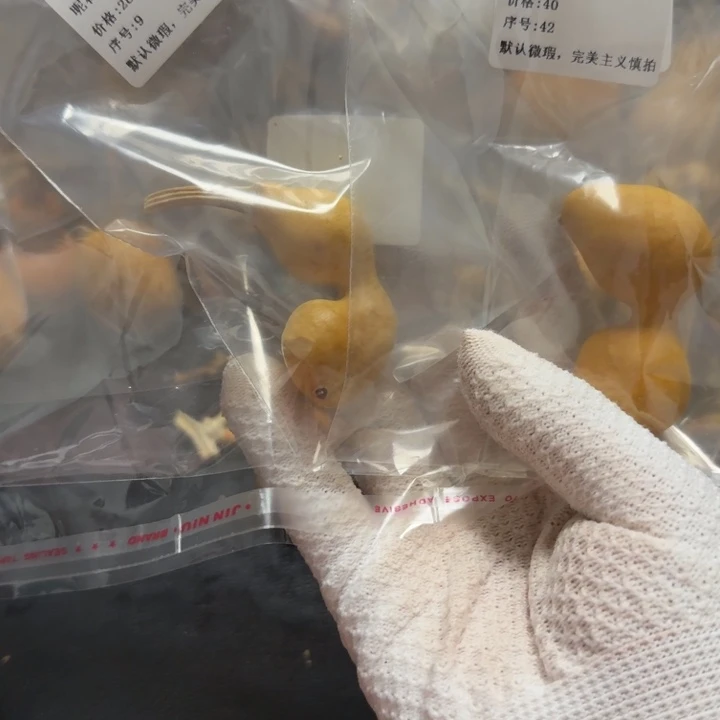 清***风6…………………………………………