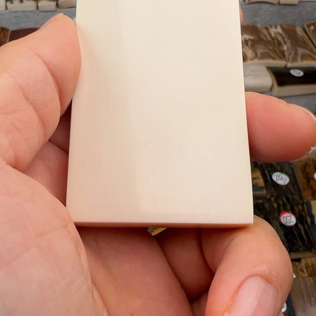 文***者泥塑猛犸真品保证正品