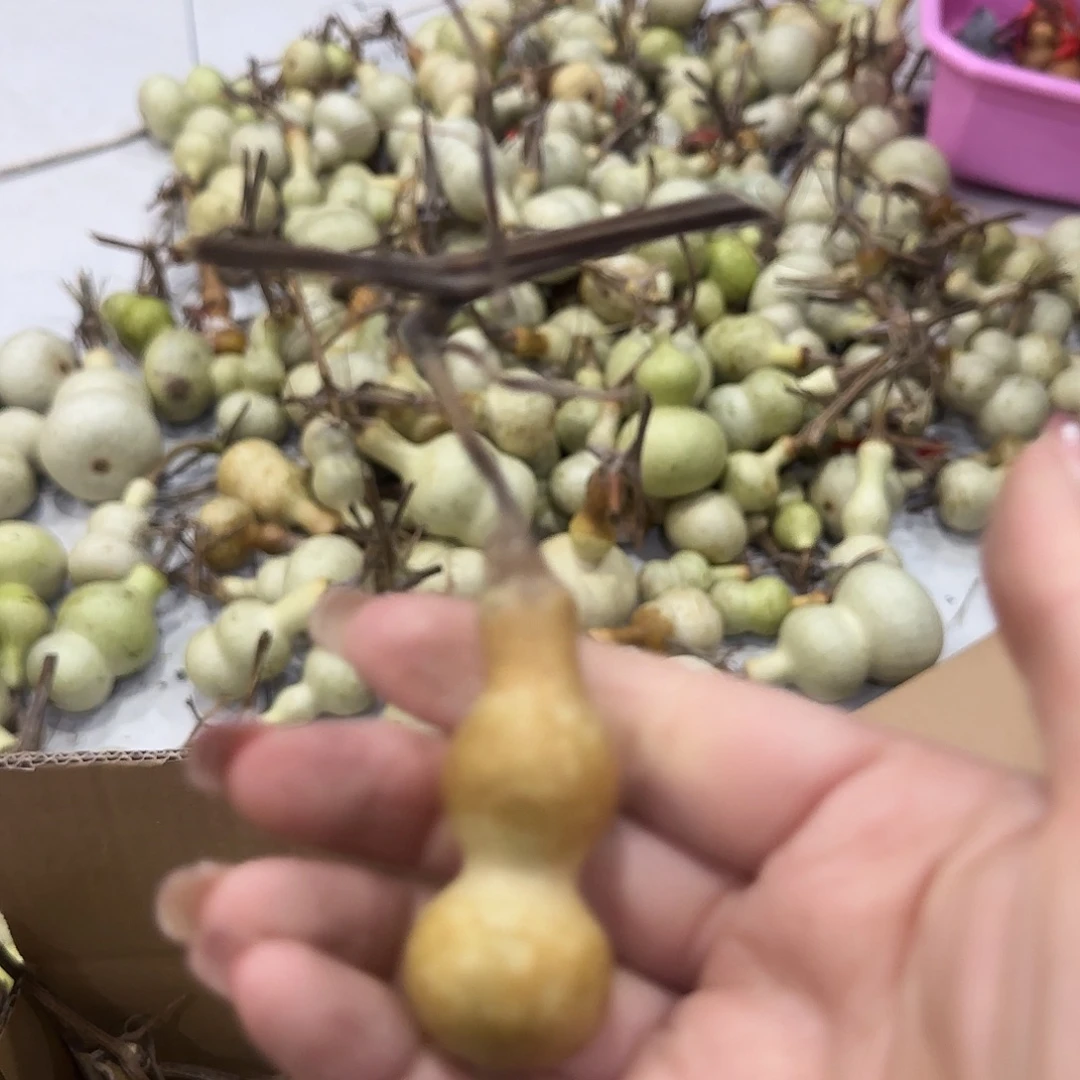 柴***元葫芦刚刚回个话JBV和