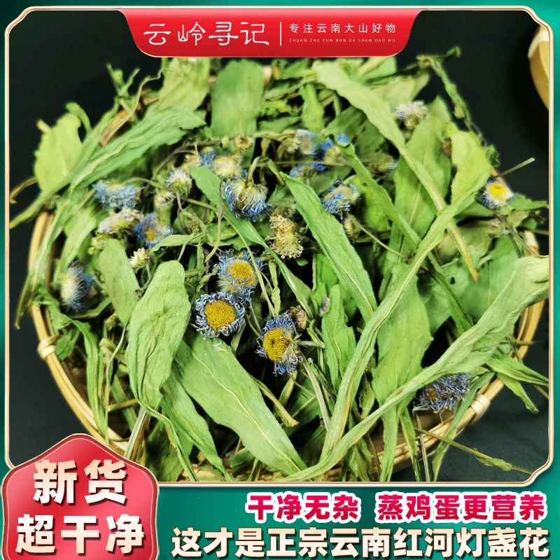 云南灯盏花 红河 中药材包邮 灯盏花灯盏细辛 今年新货