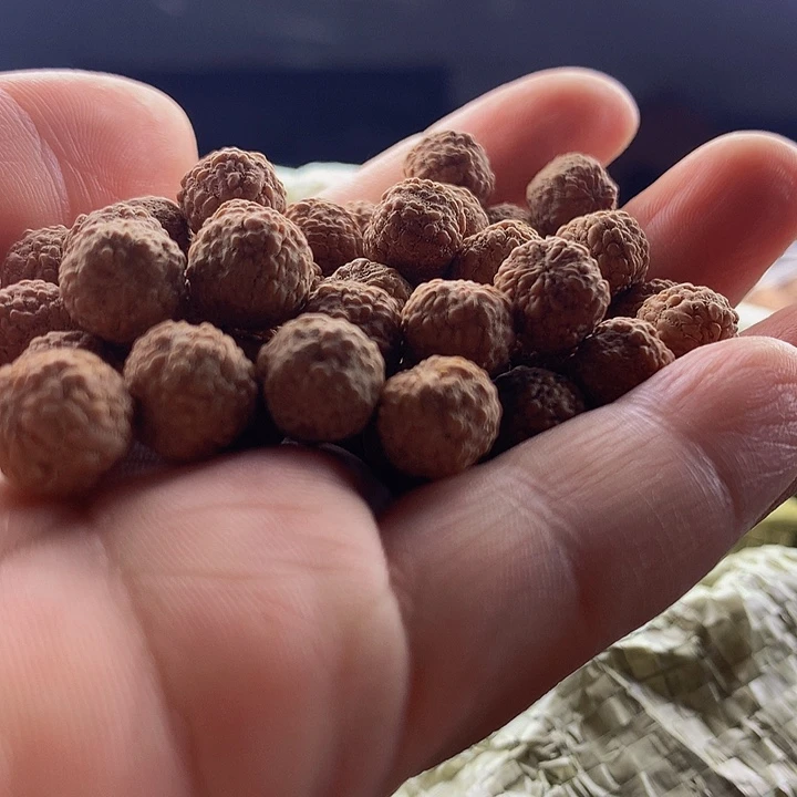 一***人金刚菩提吊坠龙鳞300颗不保