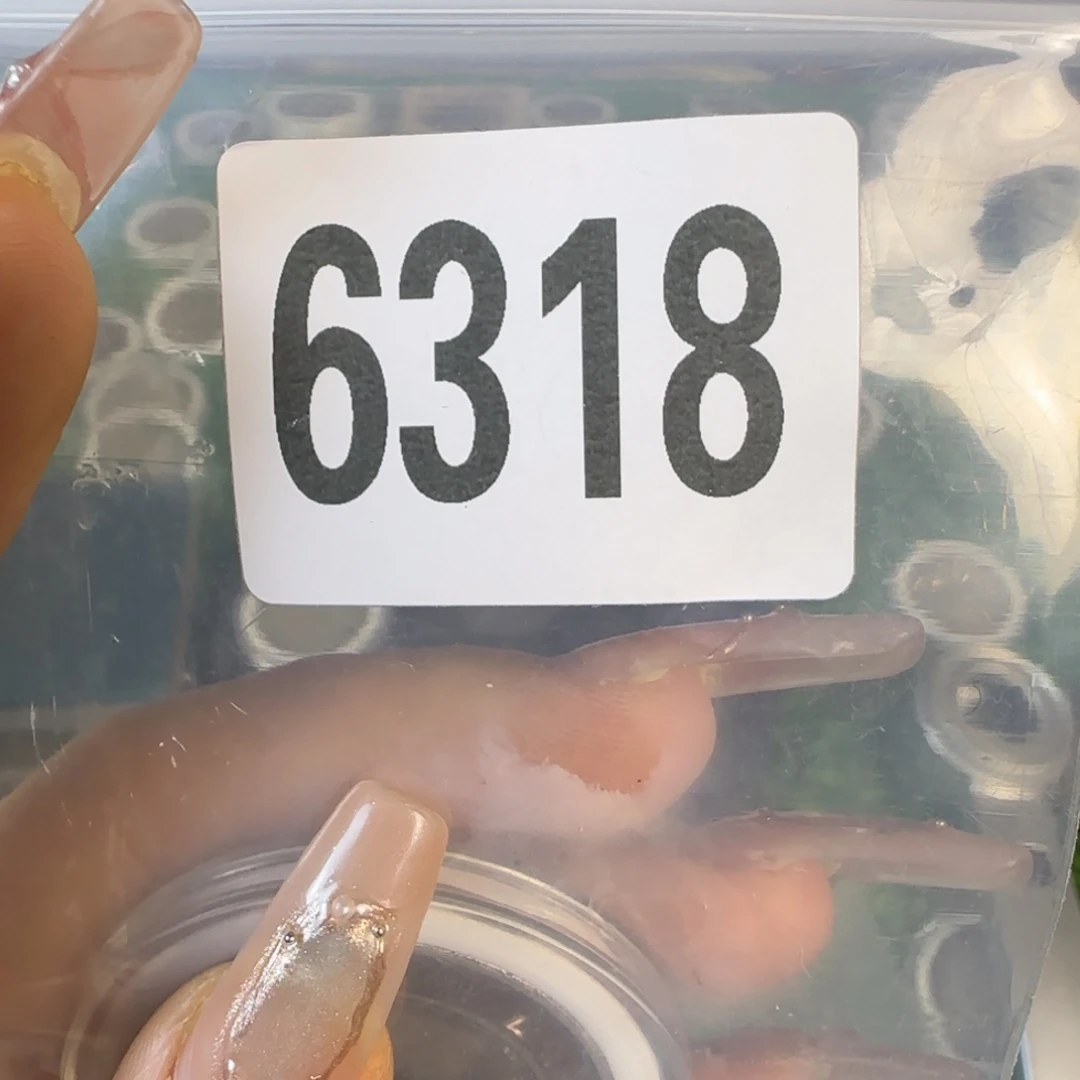 新号开播福利多多