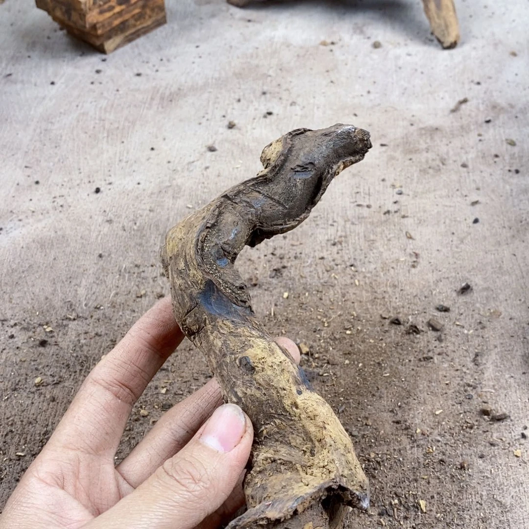 黄花梨/降香黄檀众****高