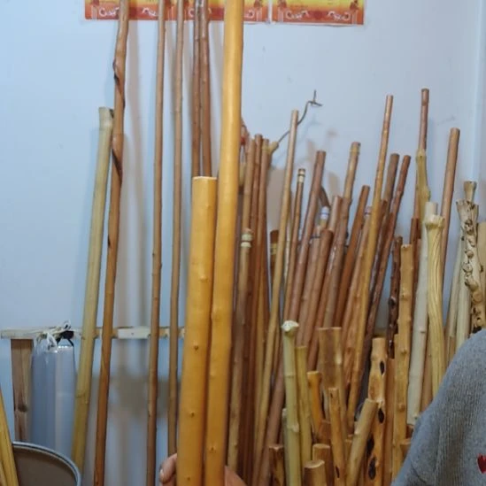 进***克秦岭石山红荀子，牛筋木