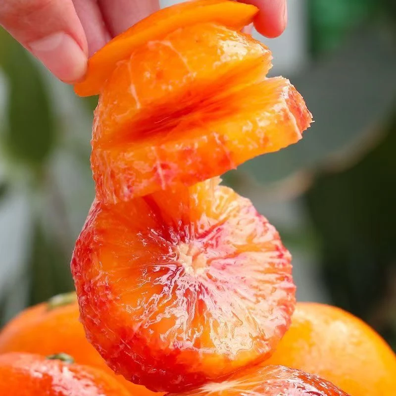 玫瑰香血橙高山血橙酸甜多汁