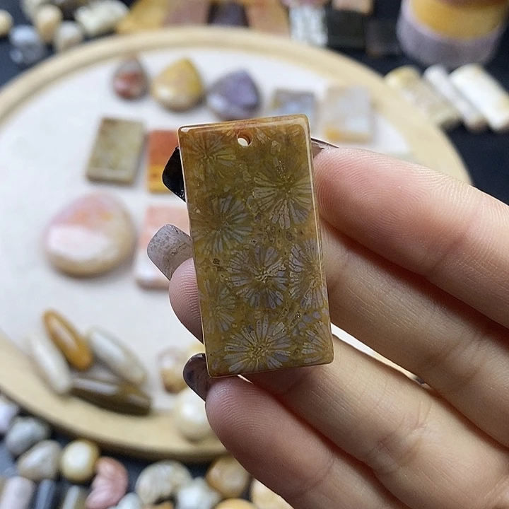 硅化珊瑚（珊瑚玉）未镶嵌颈饰12
