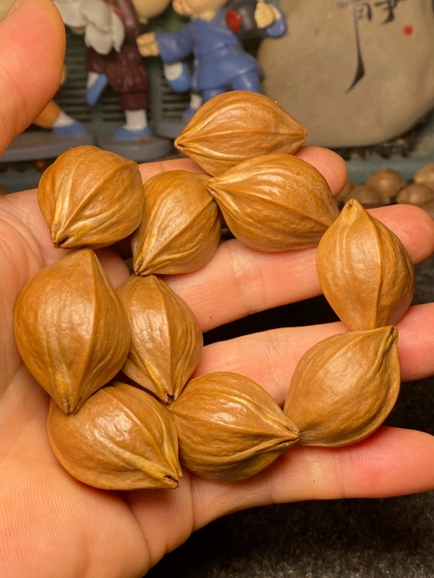 橄榄核铁核四花手持单圈手串原料