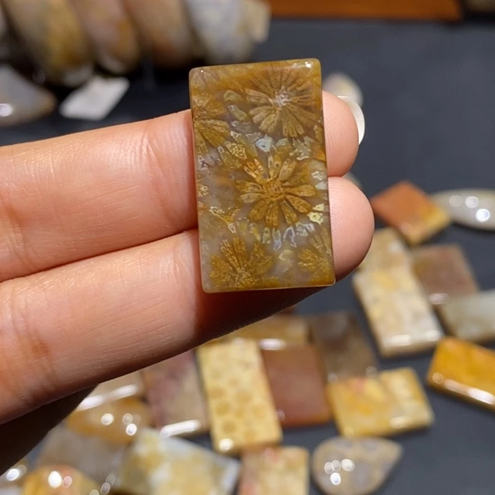 【闪购商品】未镶嵌珊瑚玉硅化玉