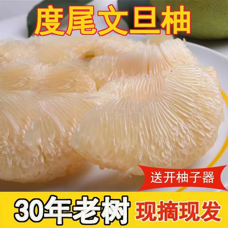 【袋装】福建仙游度尾文旦柚红心白心新鲜应季孕妇水果酸甜多汁