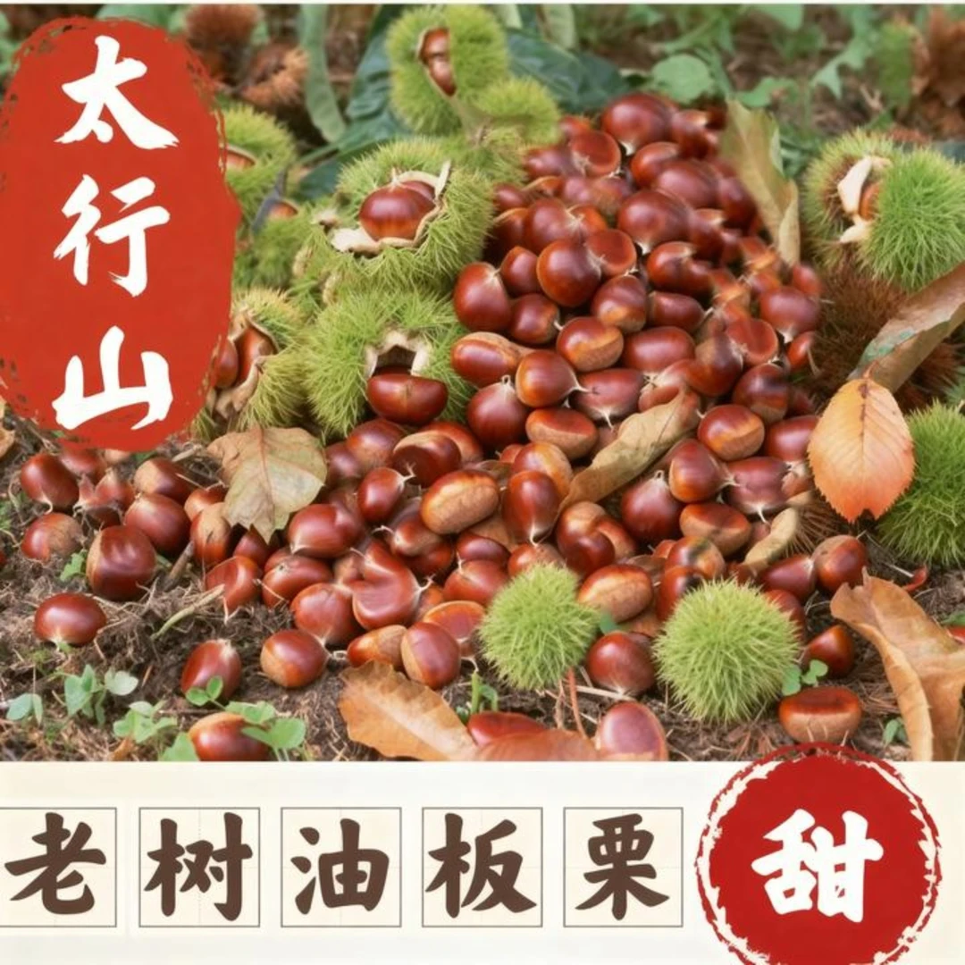 新鲜板栗现摘老树油板栗生鲜农家栗子河北板栗野生大粒板栗仁锥栗