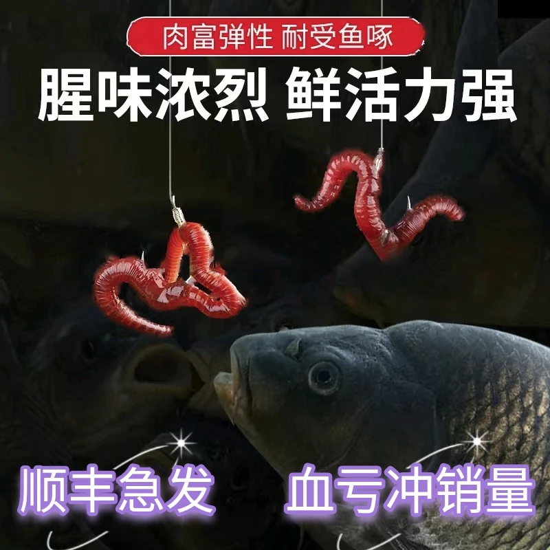 24h内500+拼单【顺丰急发】红蚯蚓活饵顺丰急发野钓鱼饵鱼饵料