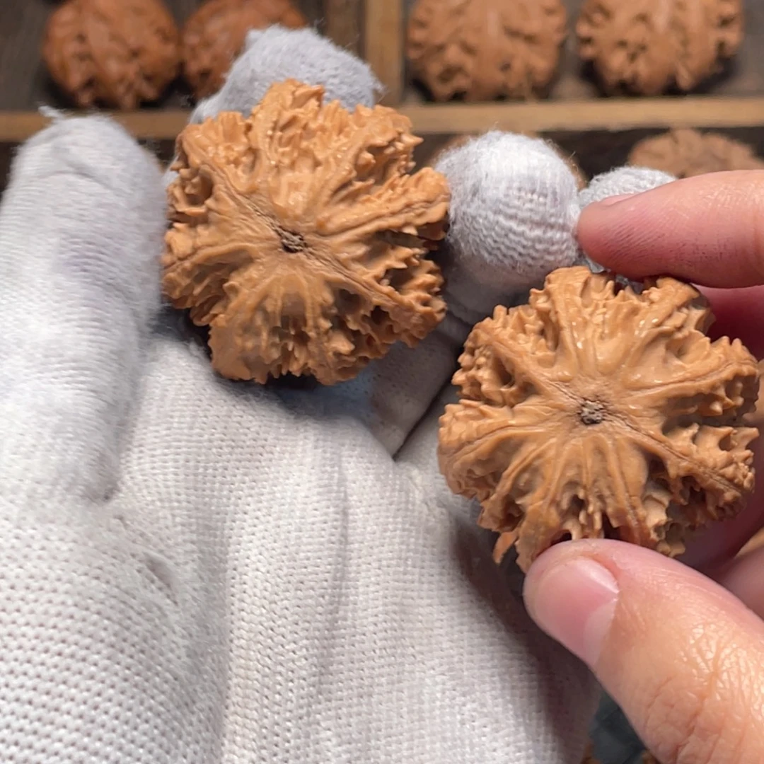 毋****吊坠桃核66 秦岭灯笼野生小众