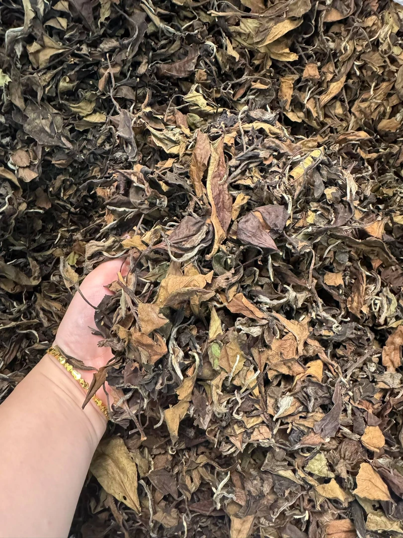 2018年福鼎豆香甜寿眉白茶