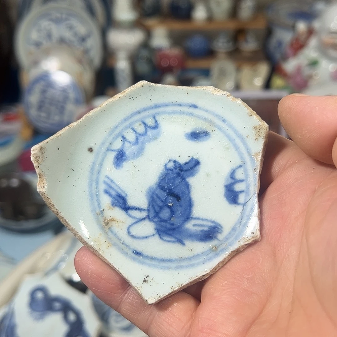 瓷片瓷片标本，全场包邮