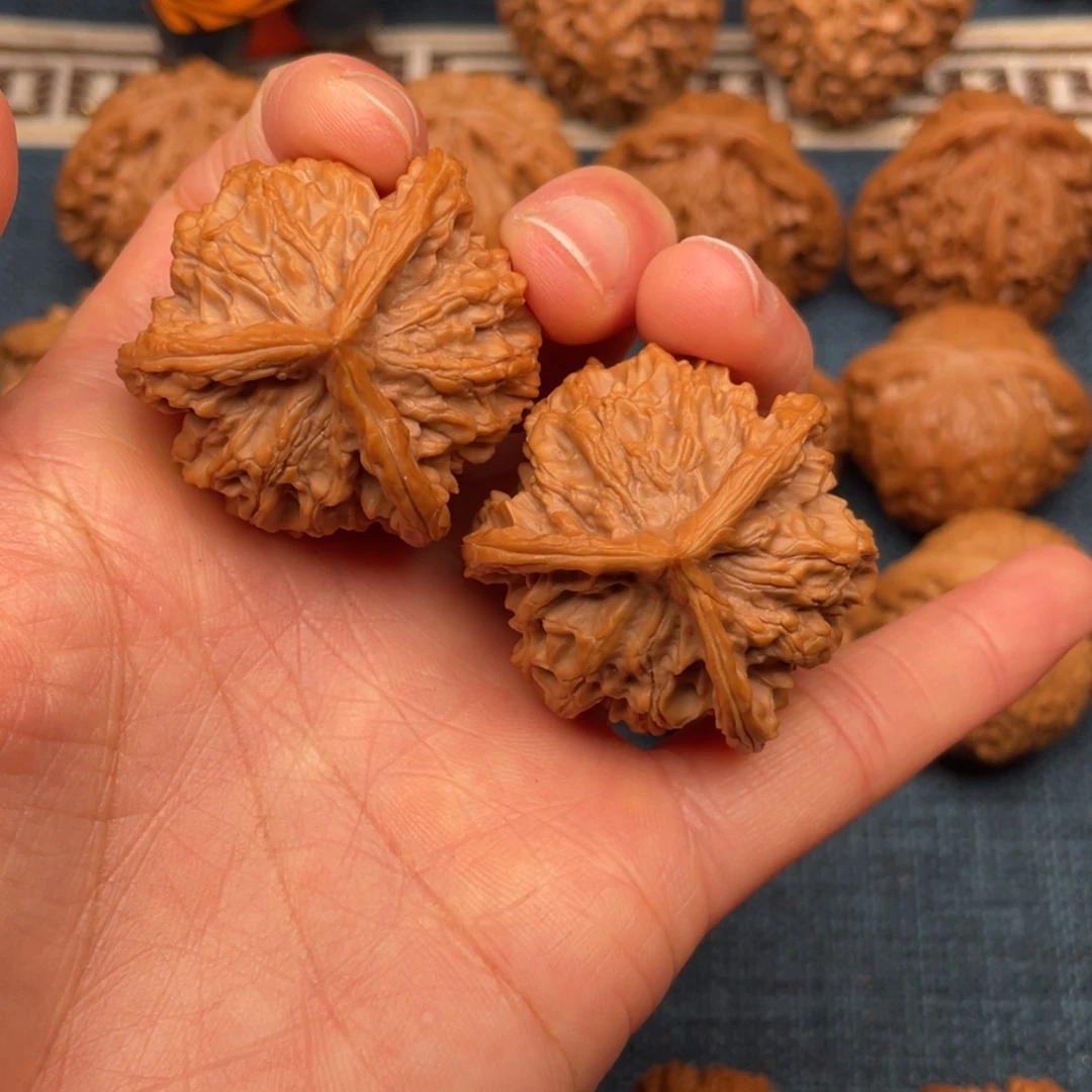 文玩核桃把件38全品毕业矮桩正奔