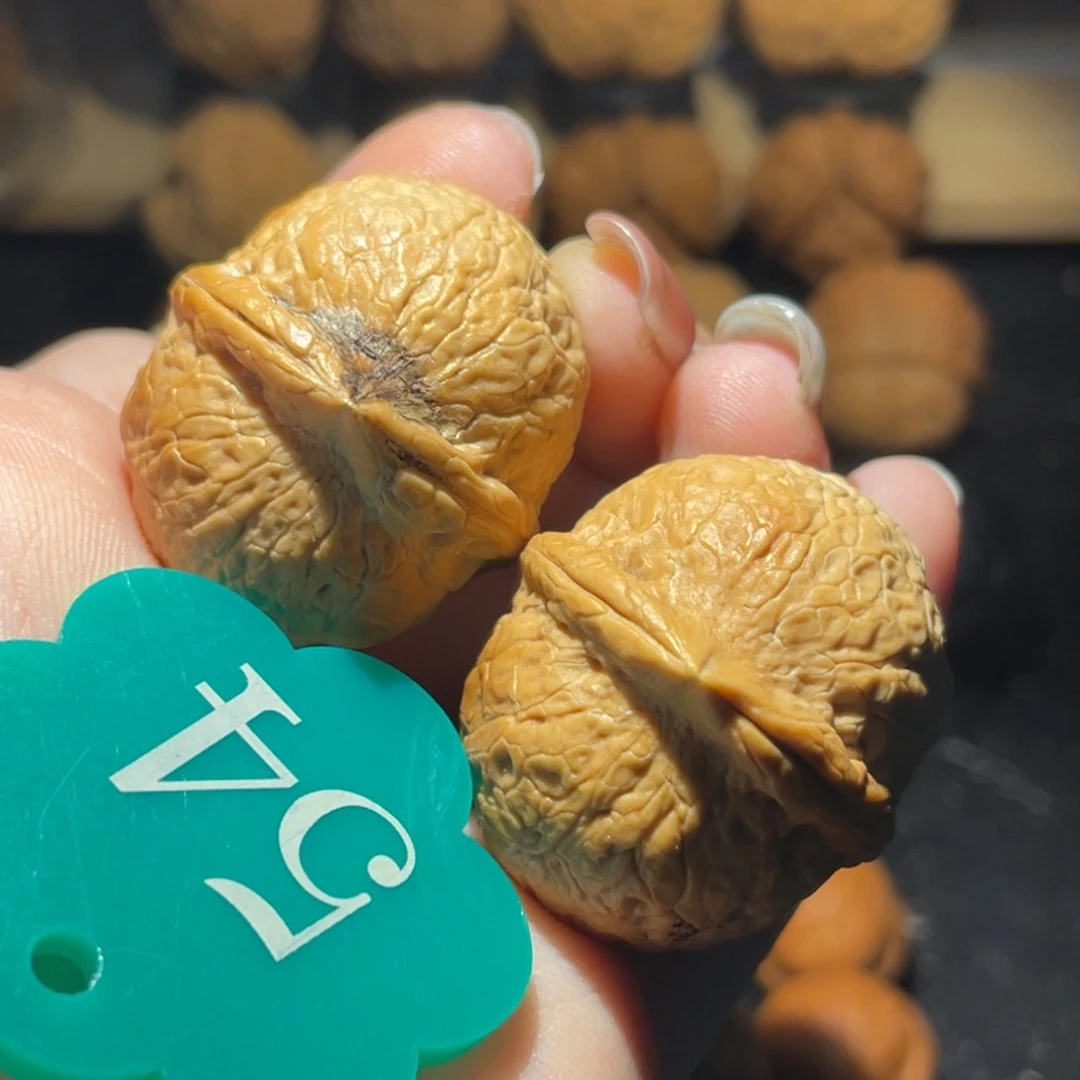 龙珠33尺寸核桃（青皮残留