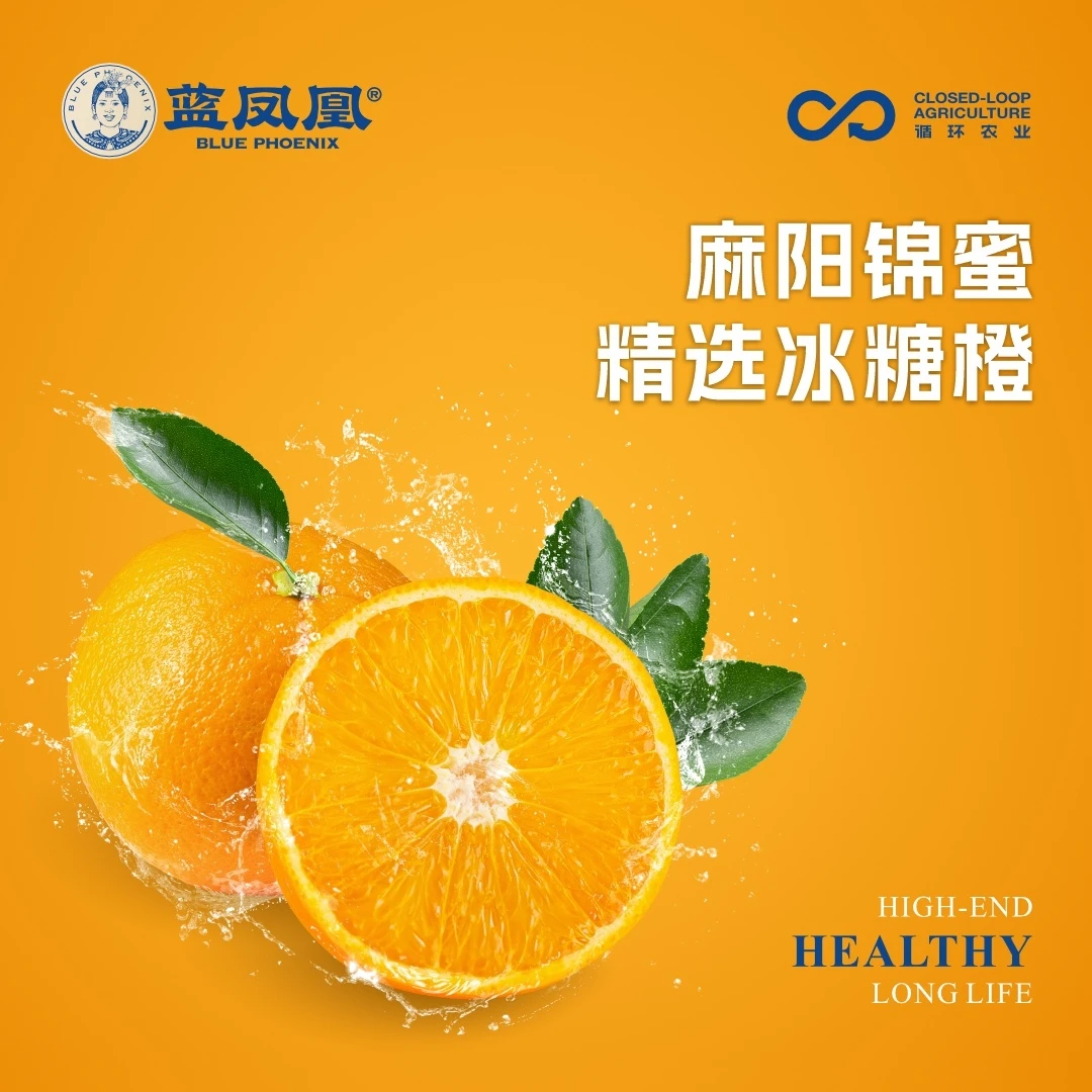 麻阳正宗现摘现发锦蜜冰糖橙