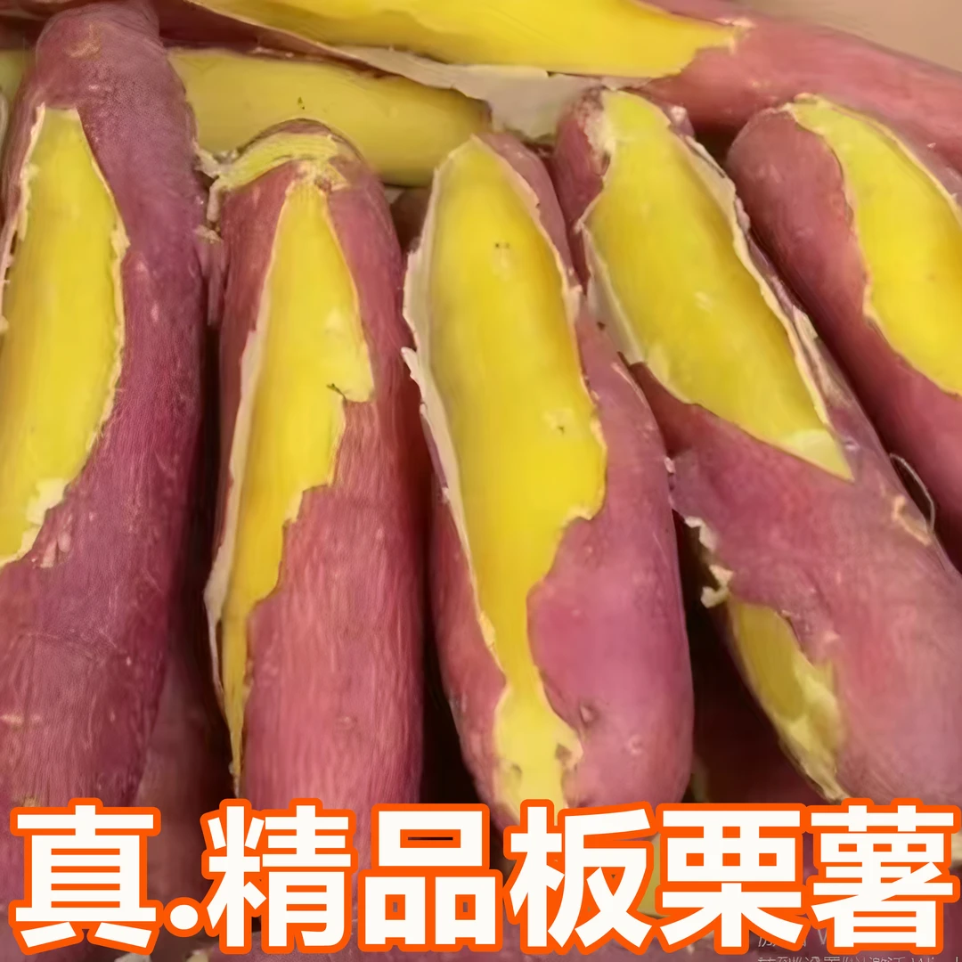 【新鲜板栗薯】正宗新鲜板栗红薯黄心蜜薯地瓜山芋蔬菜