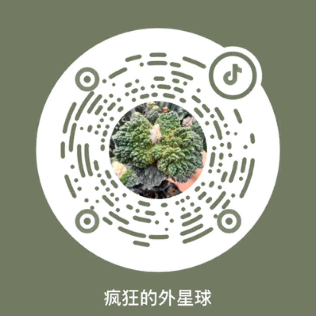 仙人球仙人球仙人球