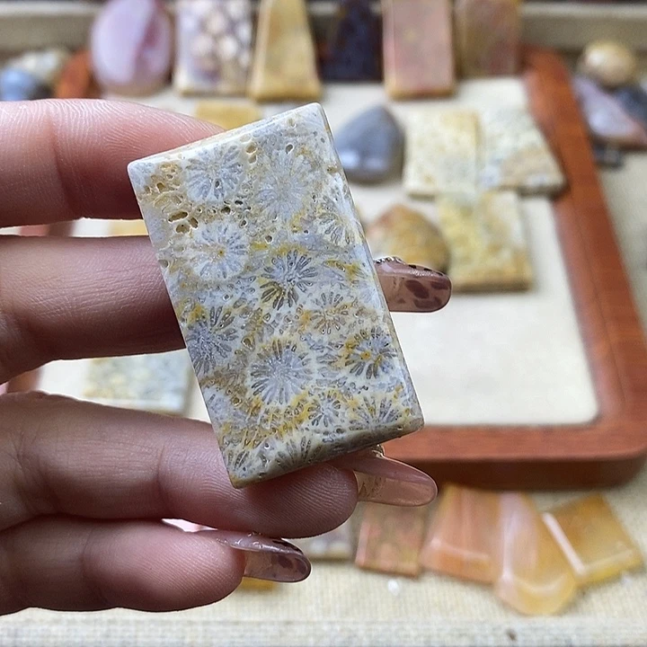 硅化珊瑚（珊瑚玉）未镶嵌颈饰