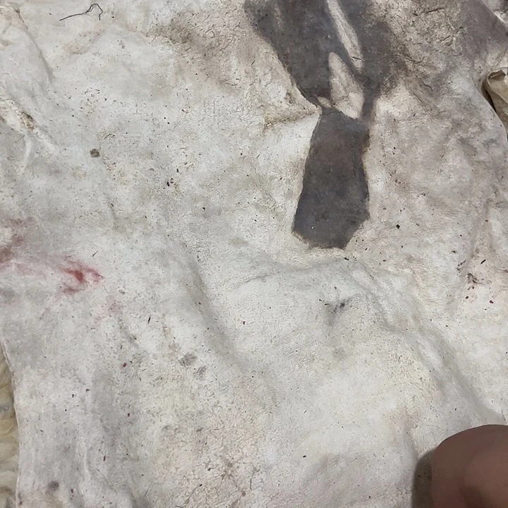 核桃木/黑胡桃（胡桃木）郑****）