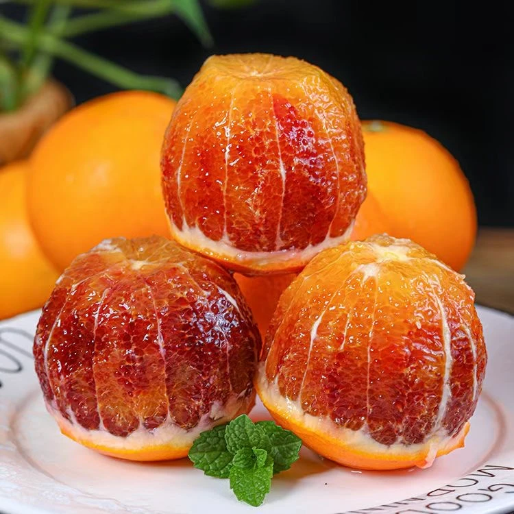 【塔罗科血橙】玫瑰血橙 自家果园 现采现发 带箱9-10斤到手20-40个