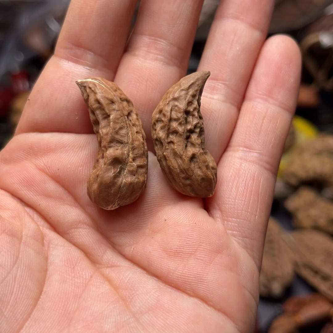 手串文玩核桃核桃2