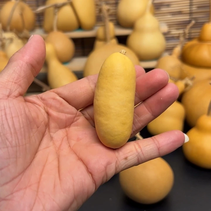 浔*葫芦葫芦葫芦葫芦葫芦葫芦