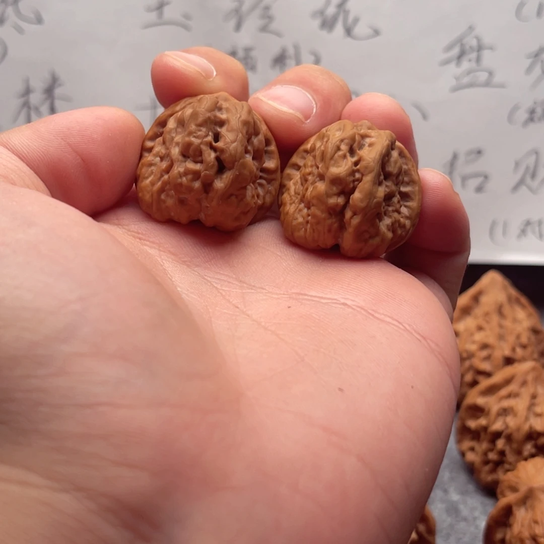 核桃手贱蛤蟆头精对四面开背