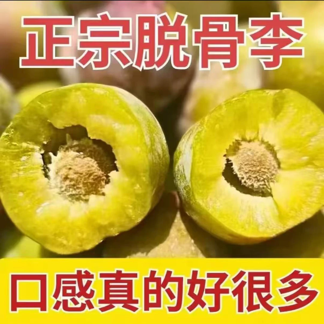 四川半边红正宗脱骨李半边红李茵红李新鲜脆甜多汁当季水果5斤
