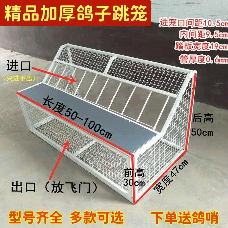鸽子跳笼鸽子用品用具信鸽赛鸽踏板撞门草窝跳笼鸽舍进口放飞跳笼