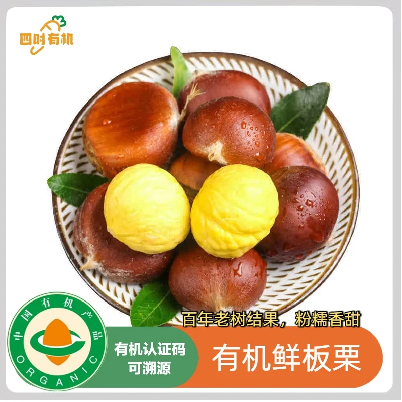 2025新鲜有机板栗清脆甘甜鲜香生栗子迁西板栗粉糯香甜新鲜下树