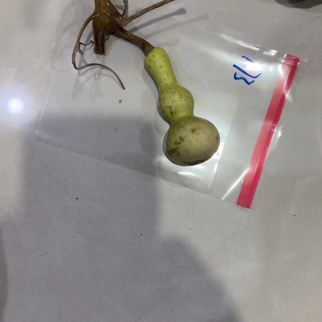 等***雨青皮不包成青皮不包成