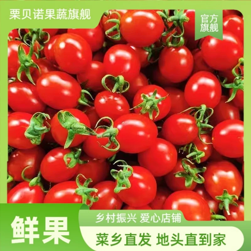 千禧果超甜小番茄圣女果西红柿铁皮自然新鲜水果