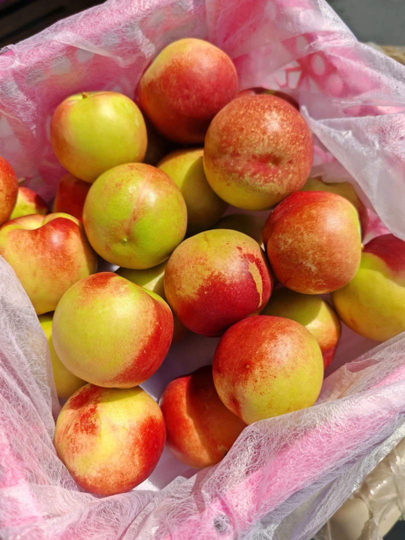 【珍珠枣桃】口感脆甜 个头不大甜度高 净果2.8~3斤【顺丰到家】