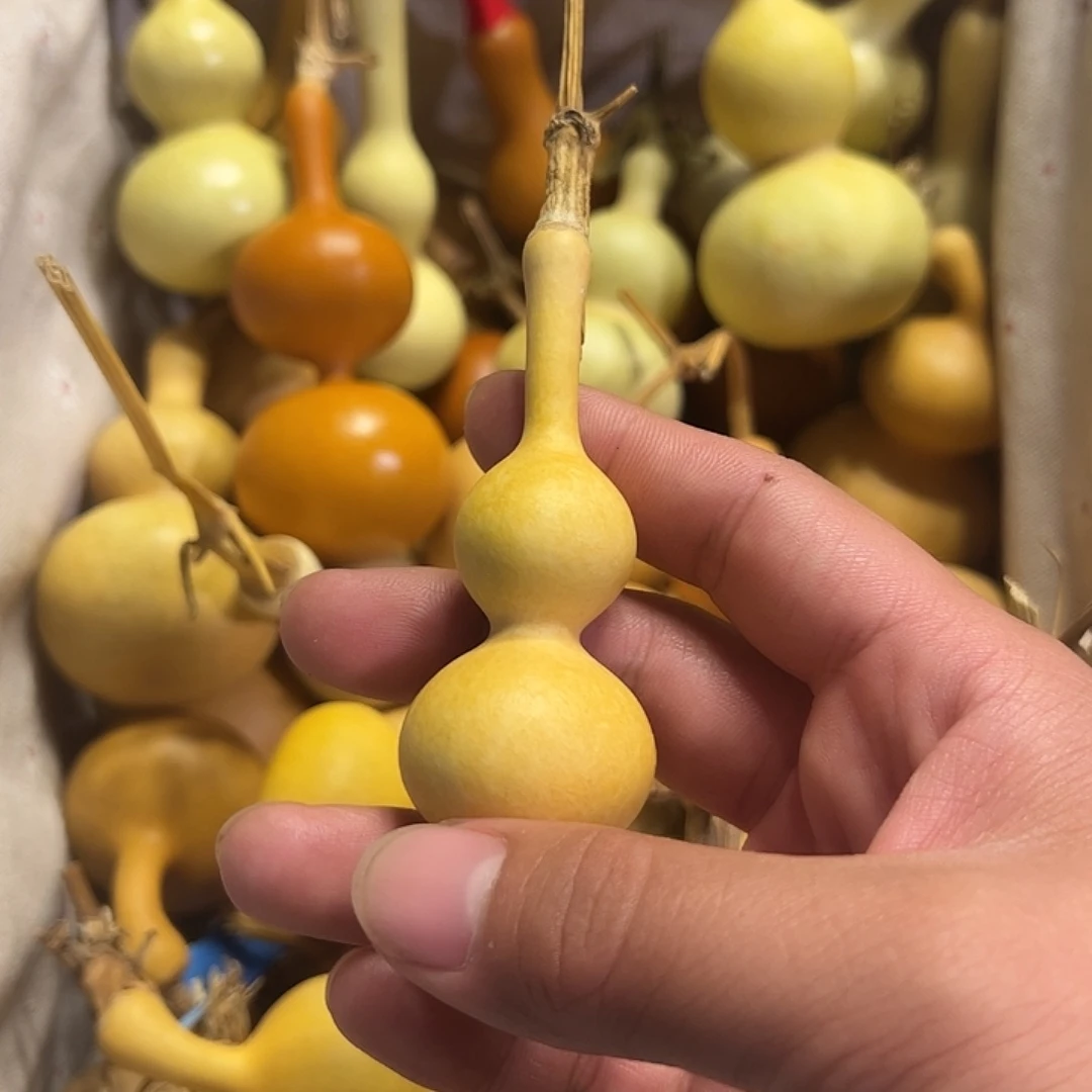 喝***子蚂蚁蚂蚁蚂蚁蚂蚁