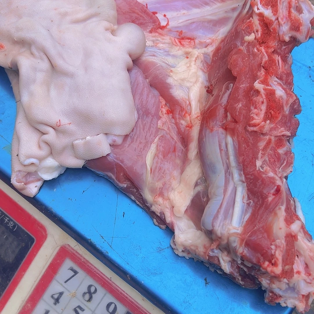 特***汤小黄金代购羊排2.1斤