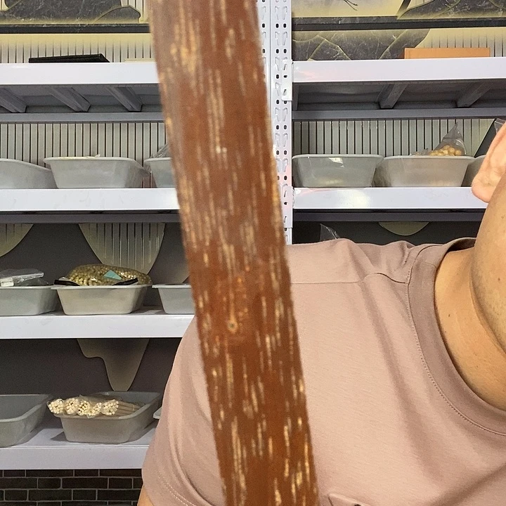 大果紫檀（缅甸花梨）513