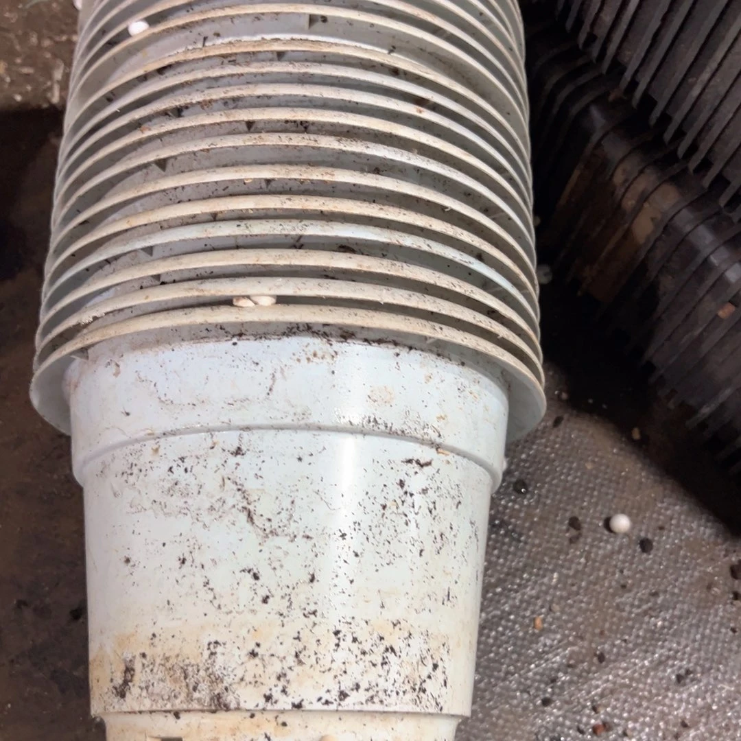 白高端盆21口径15高 6个