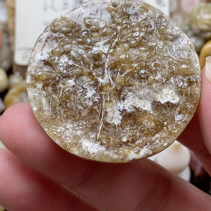 颈饰未镶嵌硅化珊瑚（珊瑚玉）有瑕