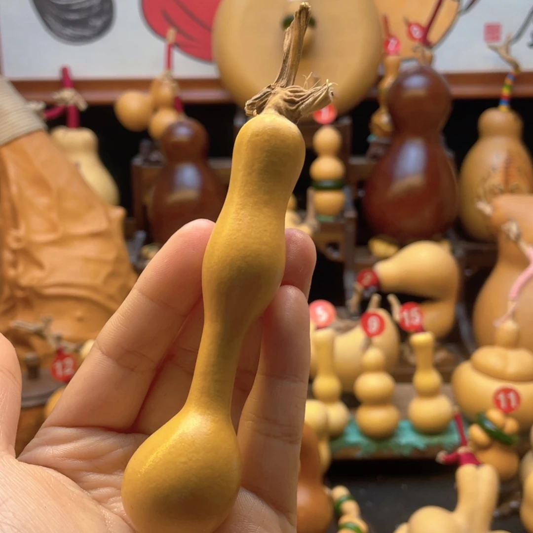 常**二大自然的秘密第十节第一