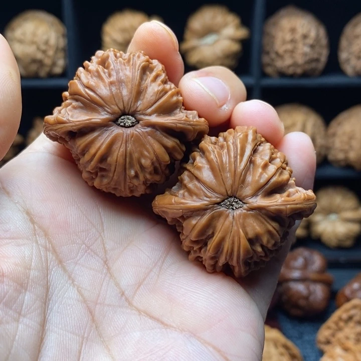 ****淏吊坠龙脊菩提40磨盘全品