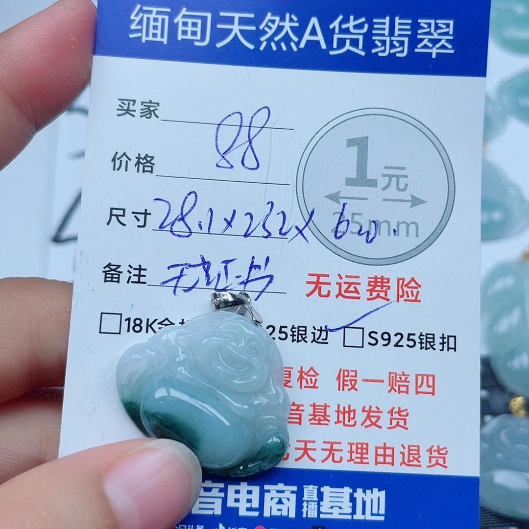 翡翠银S925镶嵌颈饰翡翠