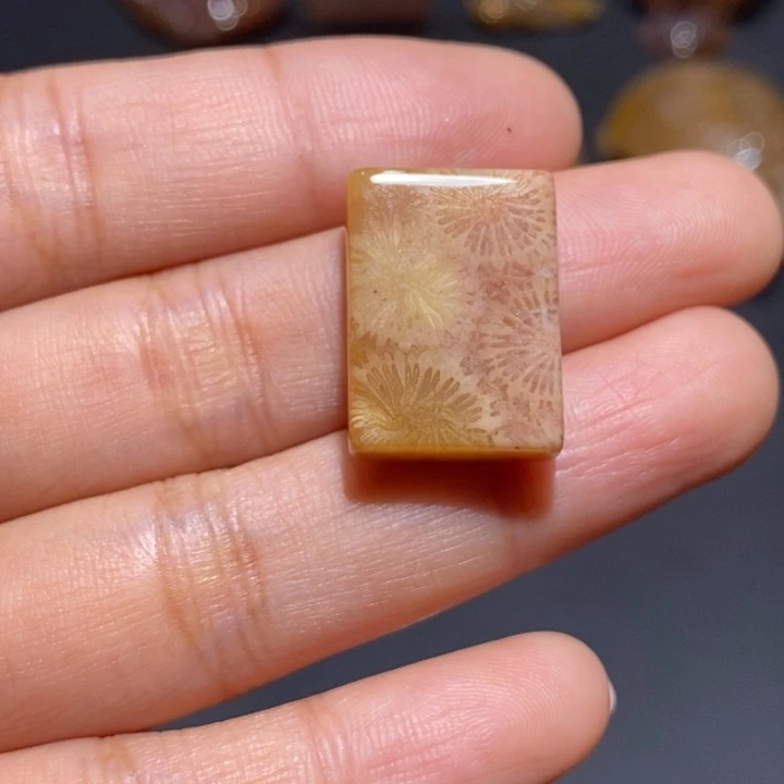 【闪购商品】未镶嵌珊瑚玉硅化玉