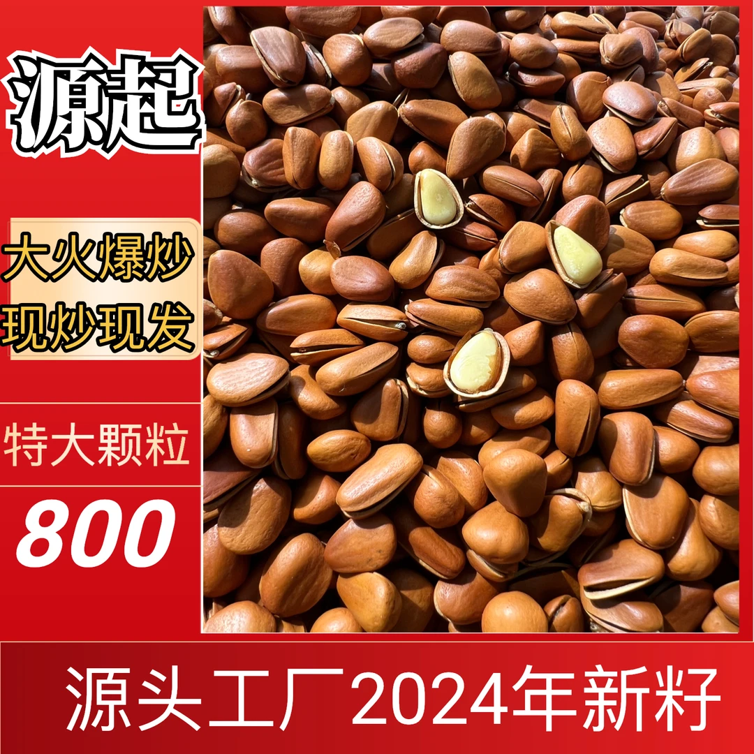 2024新大火爆炒800特大颗粒松子