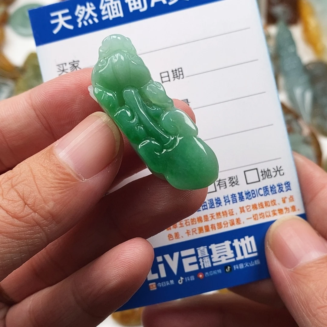 翡翠未镶嵌颈饰貔貅