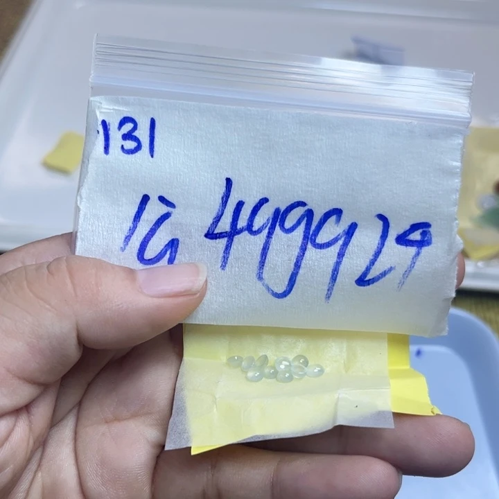 未镶嵌定制翡翠不退