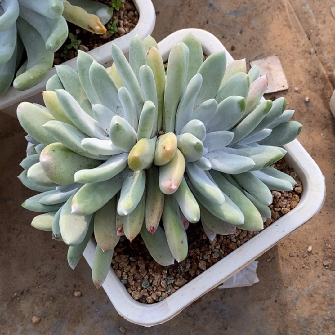 2521哈哈哈哈哈哈哈哈