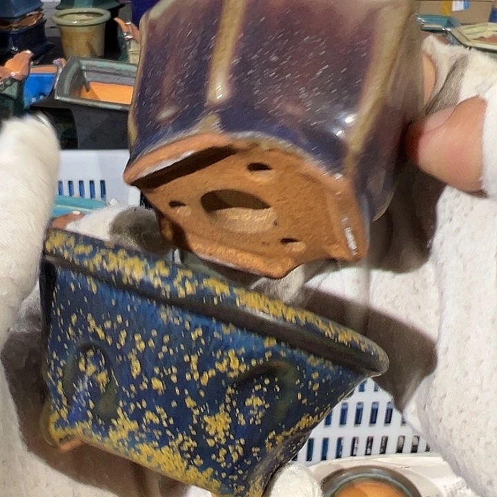 碗觉象原创作品欣赏分享